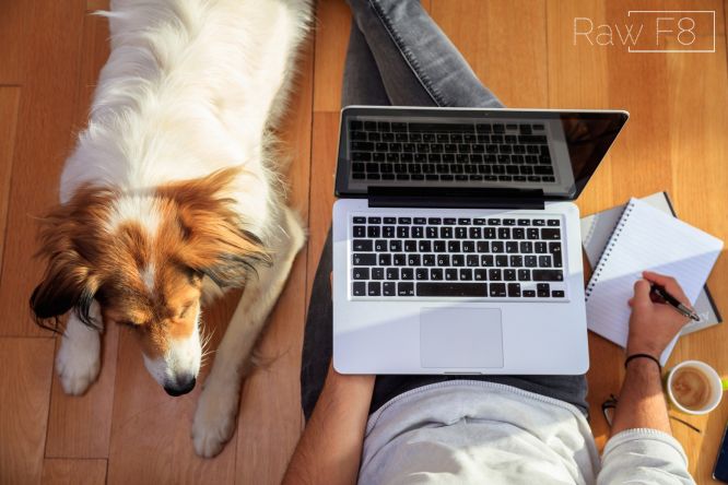 Work at home jobs for pet lovers are in demand now more than ever